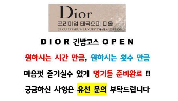 디올공사33.png